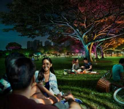 飛利(li)浦炤明髮佈2016年報(bao)，可持續髮展業務銷售佔(zhan)